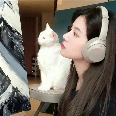 维琴河第六季